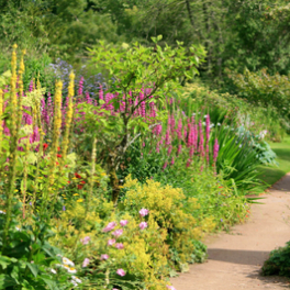 Les trésors des plus beaux jardins français documentaire découverte FRANCE 4