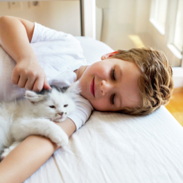 Le grand bêtisier des chats divertissement 6TER