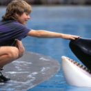 Free Willy film PLAY5