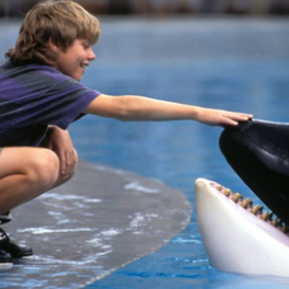 Free Willy film PLAY5
