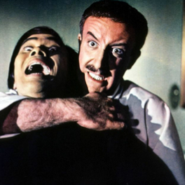 Quand l'inspecteur s'emmêle film comédie TCM CINEMA