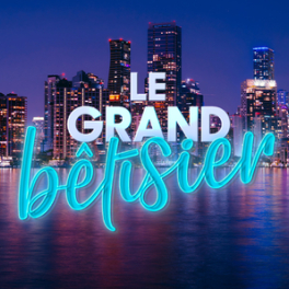 Le grand bêtisier divertissement TMC