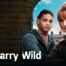 Harry Wild série/feuilleton policier 13EME RUE