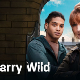 Harry Wild série/feuilleton policier 13EME RUE
