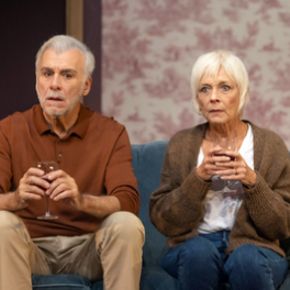 Chers parents théâtre FRANCE 4