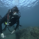 Trésors sous les mers série documentaire nature NATIONAL GEOGRAPHIC CHANNEL