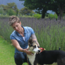 Un chien pour la vie téléréalité ANIMAUX