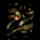 The Anacondas film horror ZES