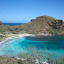 Tuamotu sauvages docureeks ontdekking ANIMAUX
