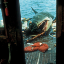 Jaws 3-D film horror VTM4
