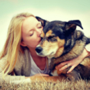 Un chien pour la vie téléréalité ANIMAUX