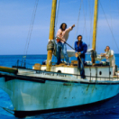 Jaws: The Revenge film thriller VTM4