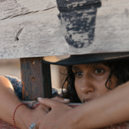 Animale film drame fantastique CINE + FRISSON BE