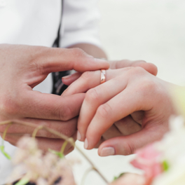 Incroyables mariages gitans divertissement TFX