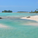 Tuamotu sauvages série documentaire découverte ANIMAUX