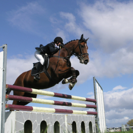 Global Champions Tour sport equitation EUROSPORT 2