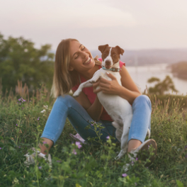 Animaux à adopter magazine animalier CSTAR
