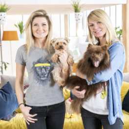 Animaux à adopter magazine animalier CSTAR