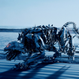 Transformers 2 : La revanche film science-fiction RTL plug