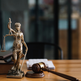 Justice en France série documentaire société PUBLIC SENAT - LCP AN