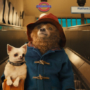 Paddington film comédie BBC1