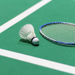 Championnats du monde sport badminton L'EQUIPE 21