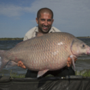 Monster Carp série documentaire nature CHASSE & PECHE
