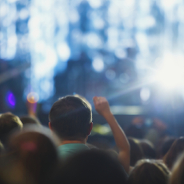 Solidarité incendies : le grand concert en direct divertissement M6