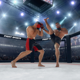 UFC Classiques sport L'EQUIPE 21