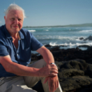 Le tour du monde de David Attenborough série documentaire animalier ANIMAUX