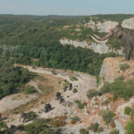 Dans les pas du mammouth géant documentaire découverte FRANCE 5