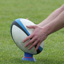 Top 14 sport rugby CANAL + SPORT