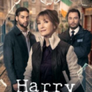 Harry Wild série/feuilleton policier 13EME RUE