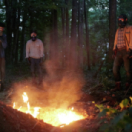 It Comes at Night film horror ACTION
