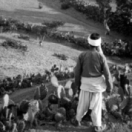 Il était une fois Gaza documentaire société LA TROIS