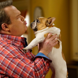 Modern Family serie/feuilleton komedie PLAY5