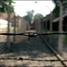 Un jour à Auschwitz documentaire historique HISTOIRE