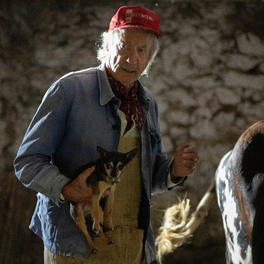 C'est quoi ce papy ?! film comédie GULLI