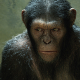 La planète des singes : les origines film science-fiction RTL plug