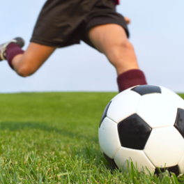 Ligue des nations sport football TF1
