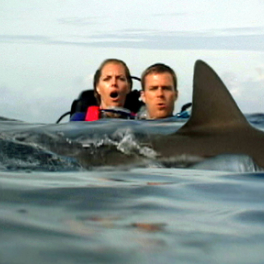 Open Water - En eaux profondes film drame CINE + FRISSON BE
