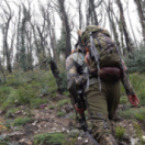Chasseur d'aventure série documentaire nature CHASSE & PECHE