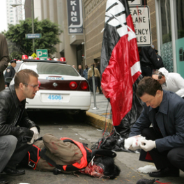 Les experts : Manhattan série/feuilleton policier TV BREIZH