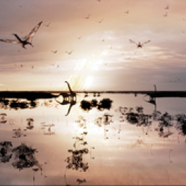 Les 5 vies de la Terre série documentaire nature FRANCE 5