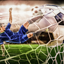 Ligue des nations sport football TF1