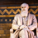 Darwin express, les nouveaux défis de l'évolution documentaire société USHUAIA TV