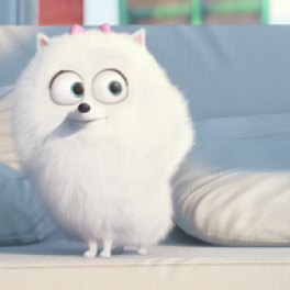 Comme des bêtes film animation GULLI