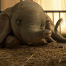 Dumbo film comédie GULLI