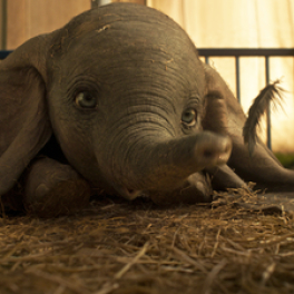 Dumbo film comédie GULLI