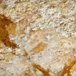 Sulawesi, l'île des premières images documentaire découverte ARTE